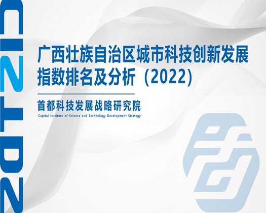 我好想让大鸡巴天天操我视频【成果发布】广西壮族自治区城市科技创新发展指数排名及分析（2022）